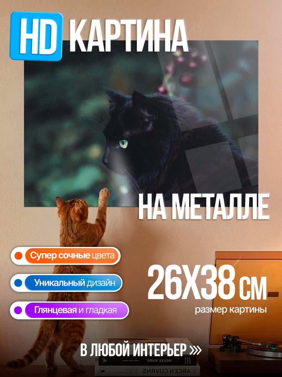 Картина на металле Черный кот