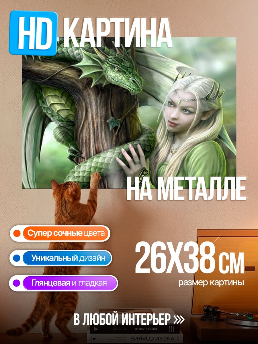 Картина на металле Эльфийка с драконом