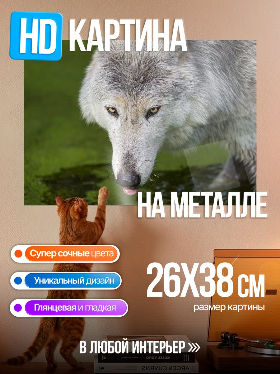Картина на металле Волк у воды