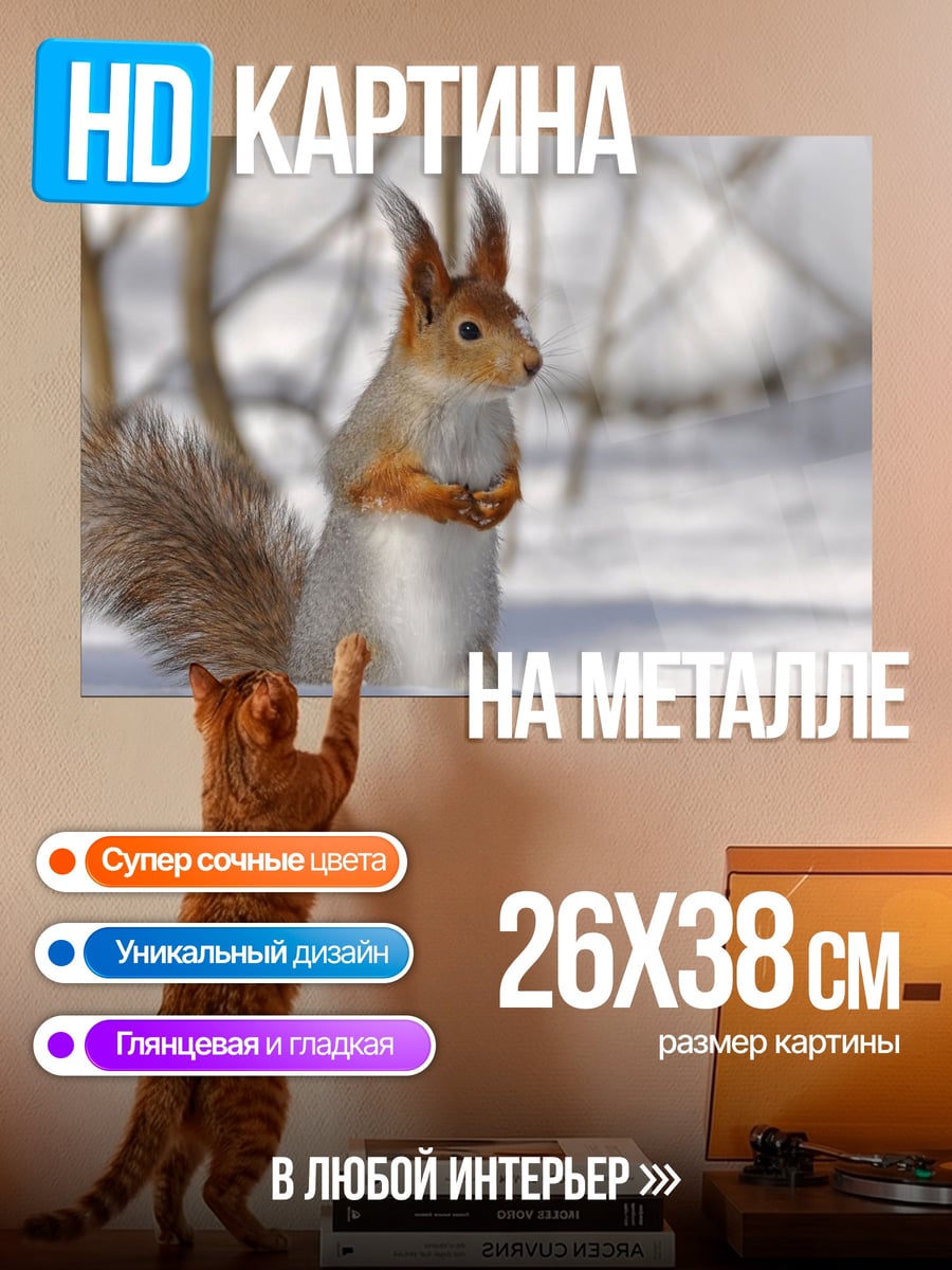 Картина на металле белка в снегу