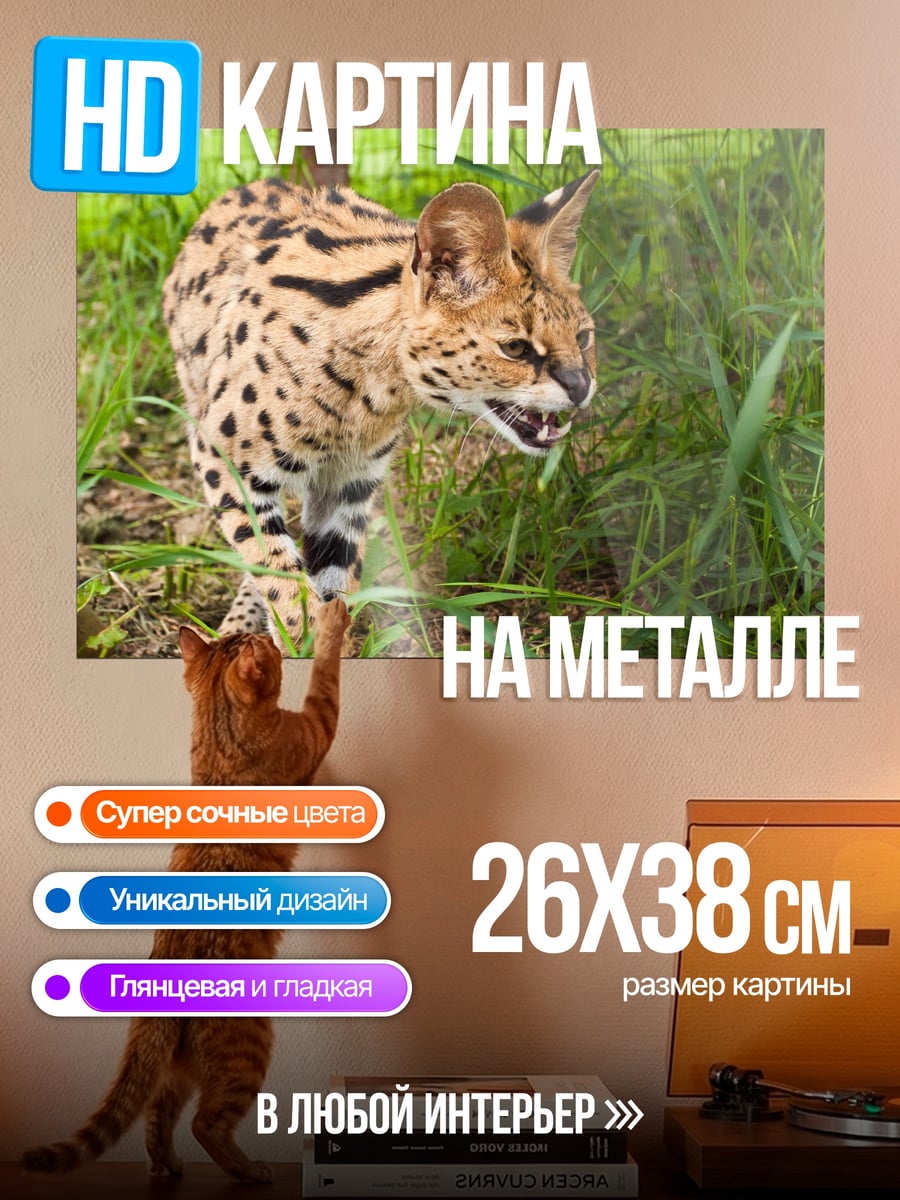 Картина на металле Сервал в траве