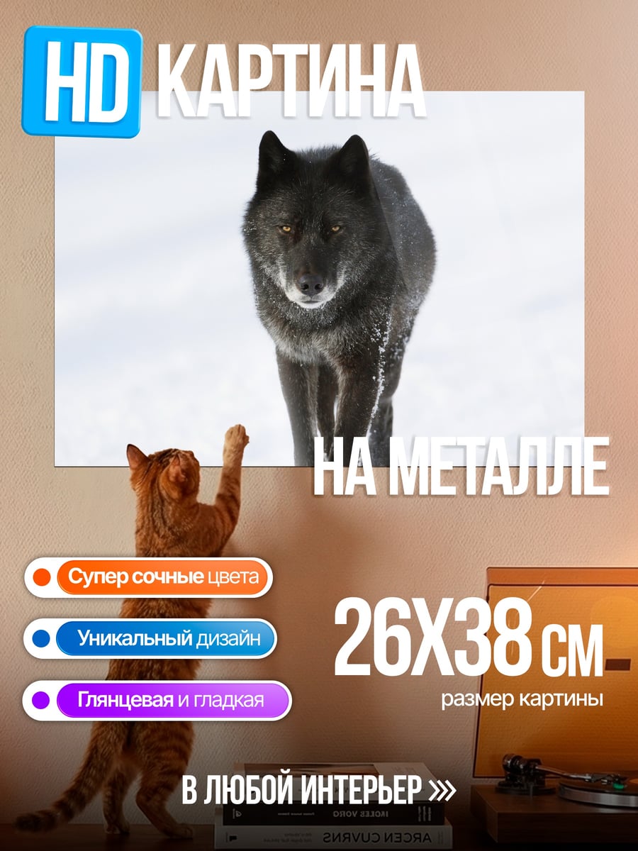Картина на металле Черный волк