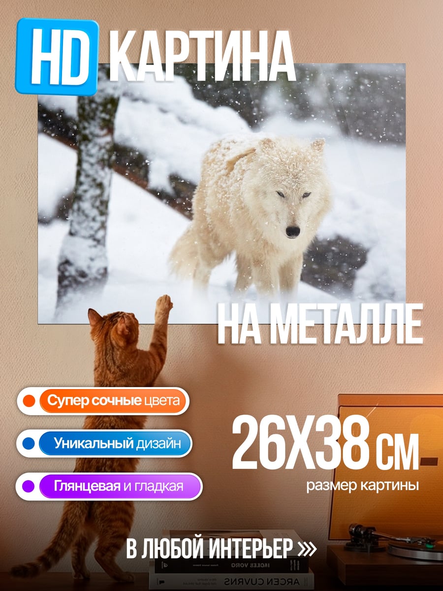 Картина на металле Белый волк снег