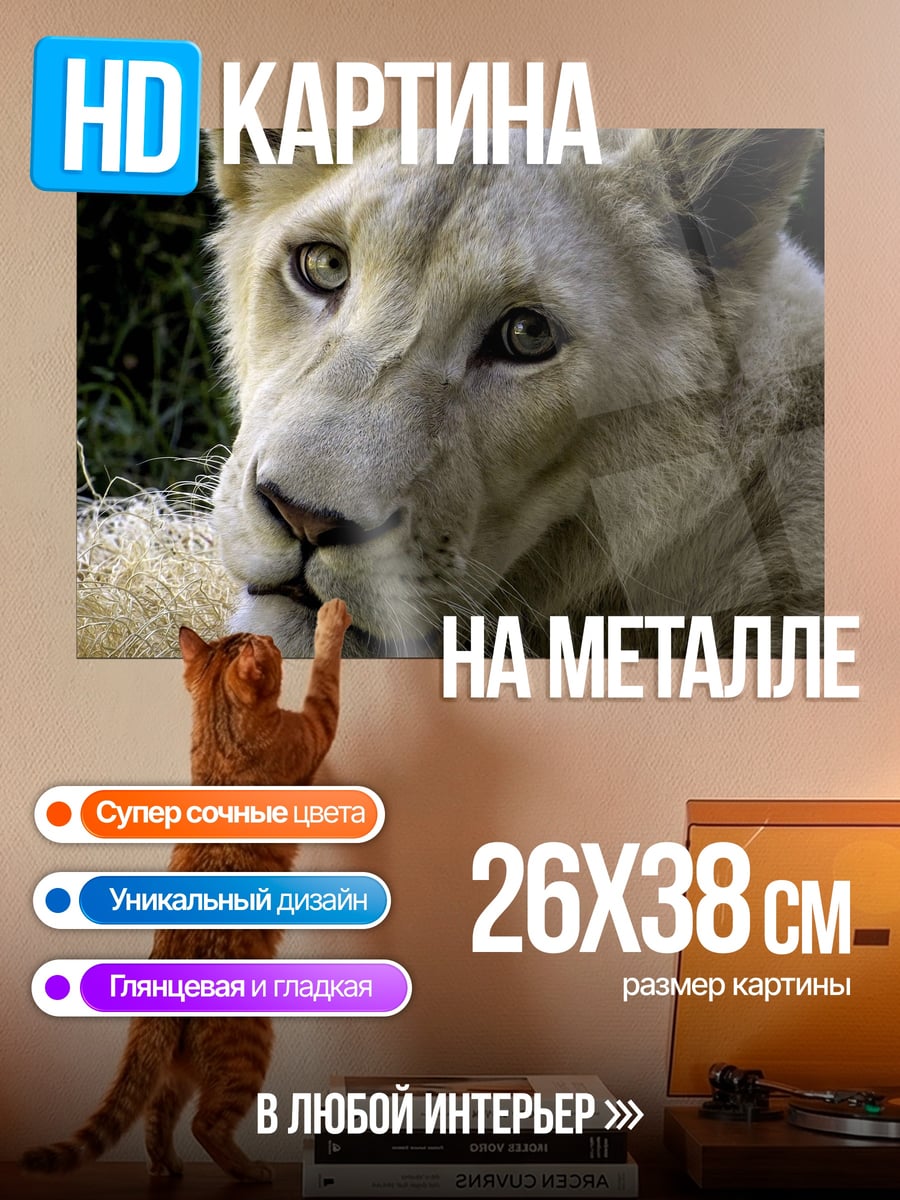 Картина на металле Белый лев крупным планом