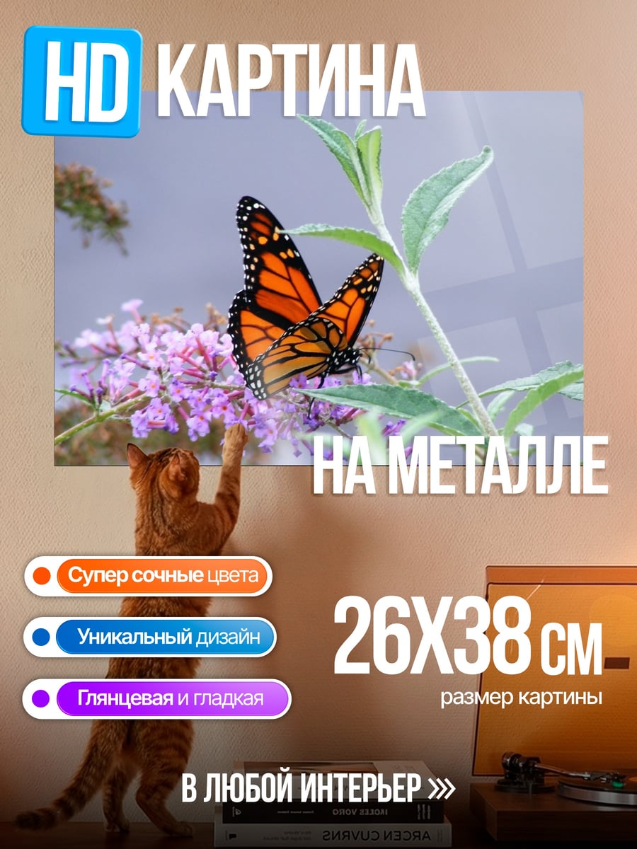 Картина на металле Бабочка на цветке