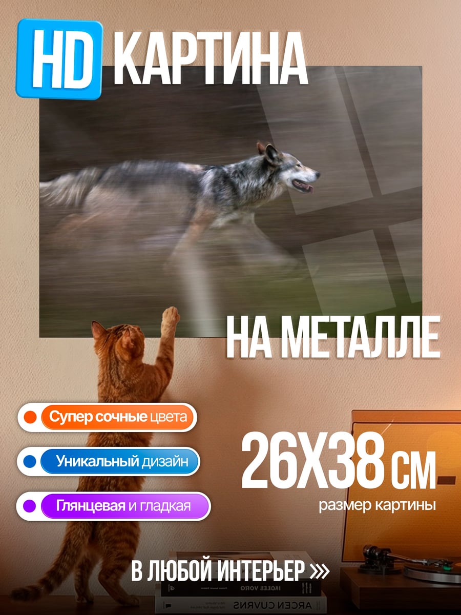 Картина на металле Бегущий волк