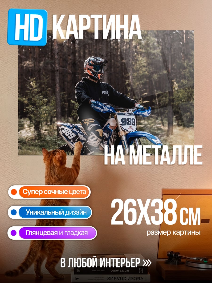 Картина на металле Мотоциклист в лесу