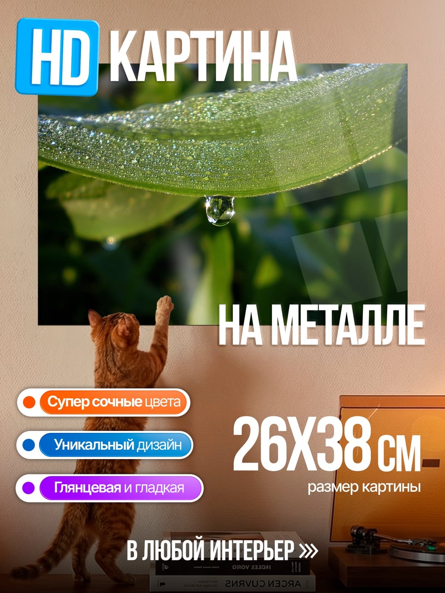 Картина на металле Капля на листе
