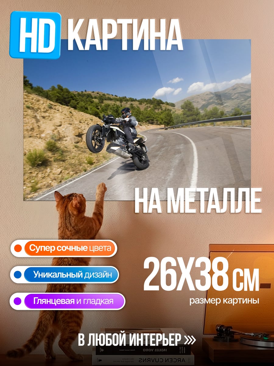 Картина на металле Мотоциклист на заднем колесе