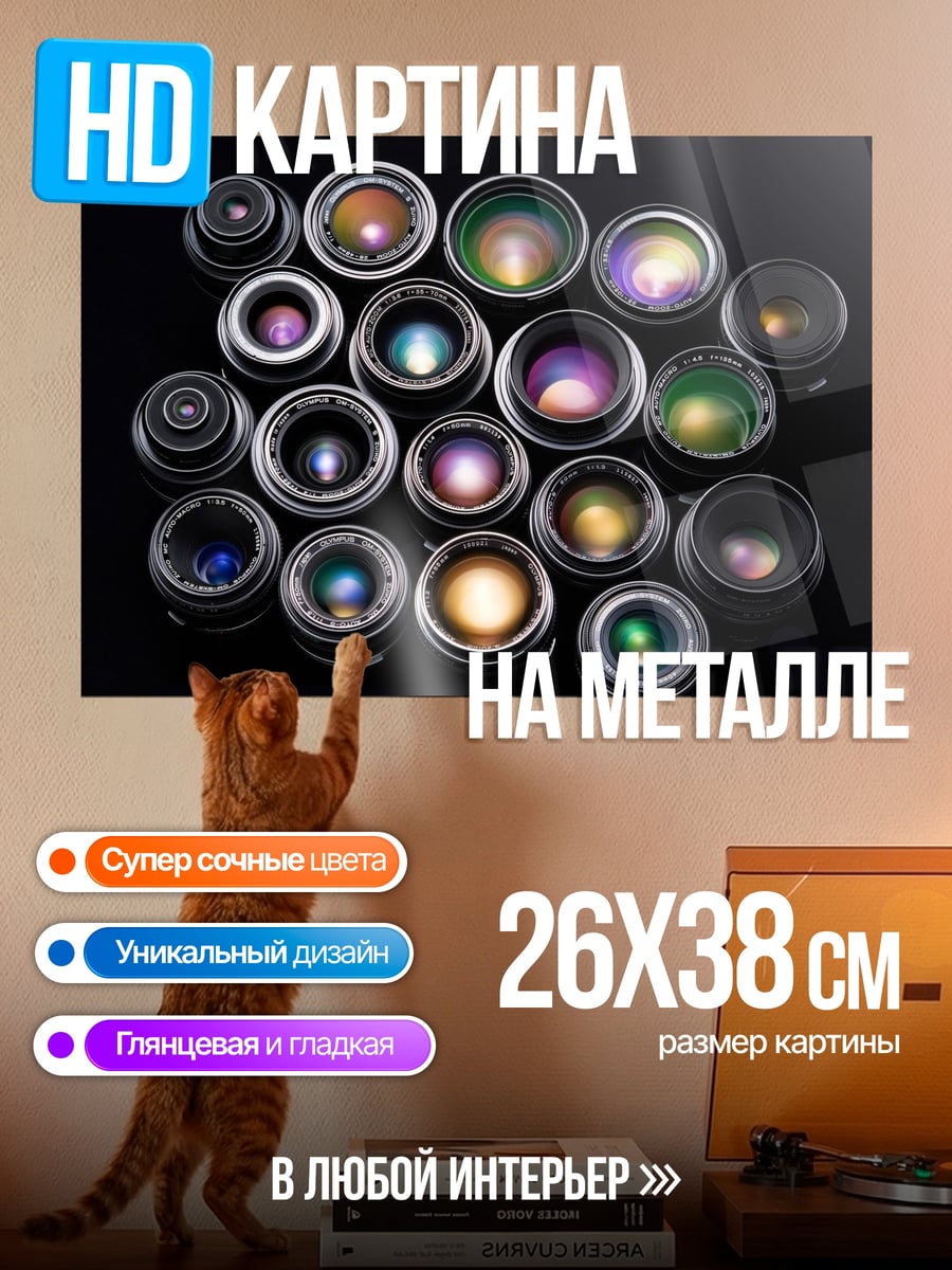 Картина на металле Объективы фотокамер