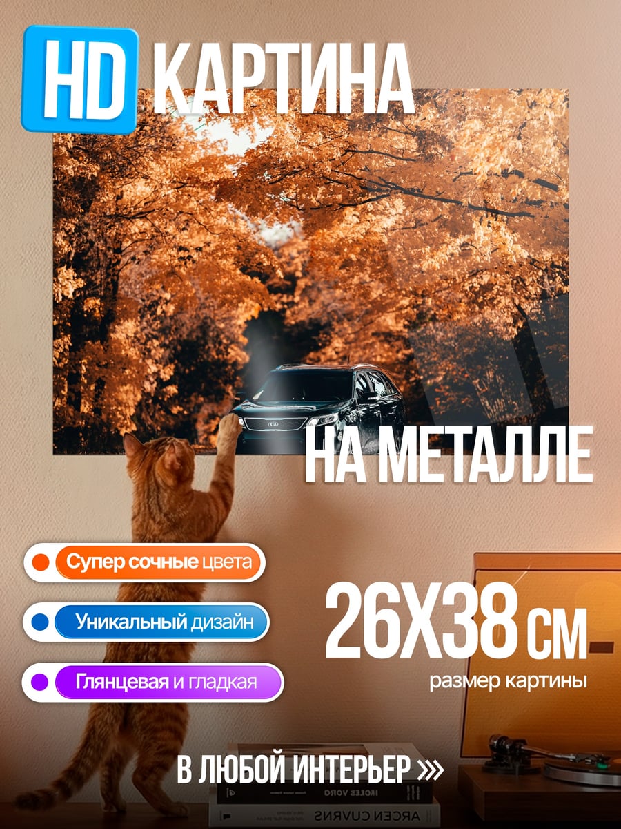 Картина на металле Автомобиль в осеннем лесу