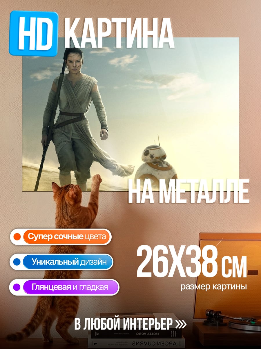 Картина на металле Рей и BB-8