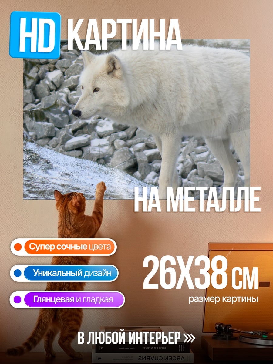 Картина на металле Белый волк в снегу