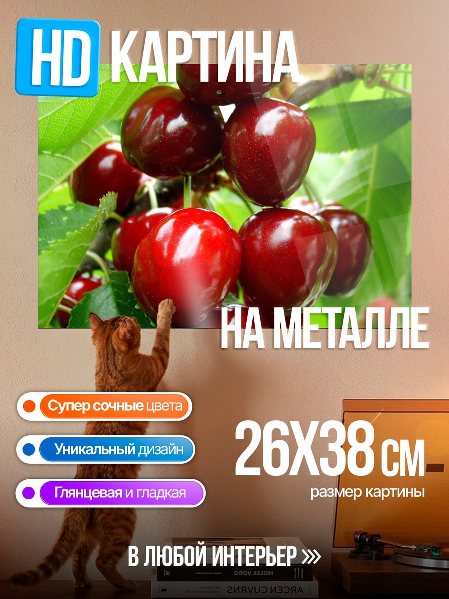 Картина на металле Спелая вишня
