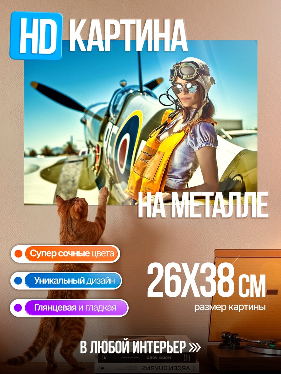 Картина на металле Пилот и самолет
