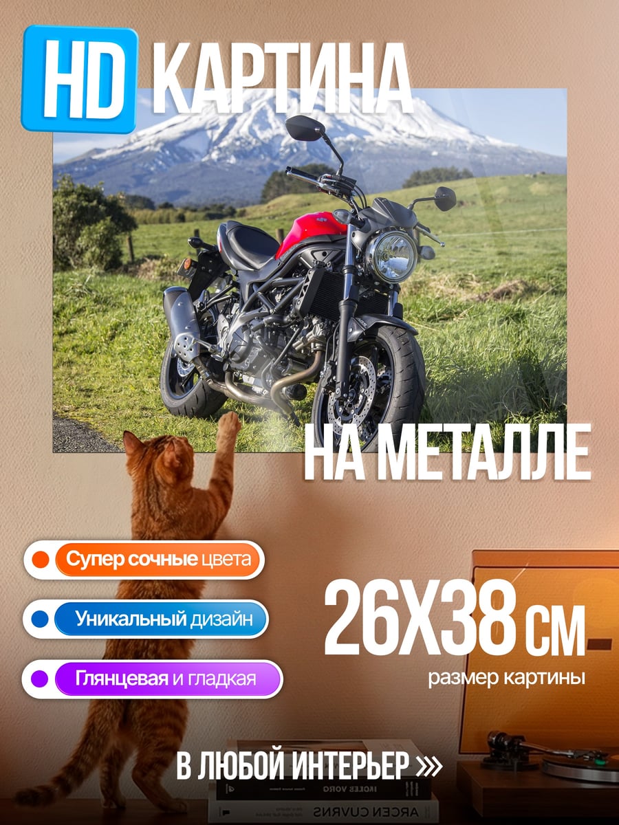 Картина на металле Красный мотоцикл
