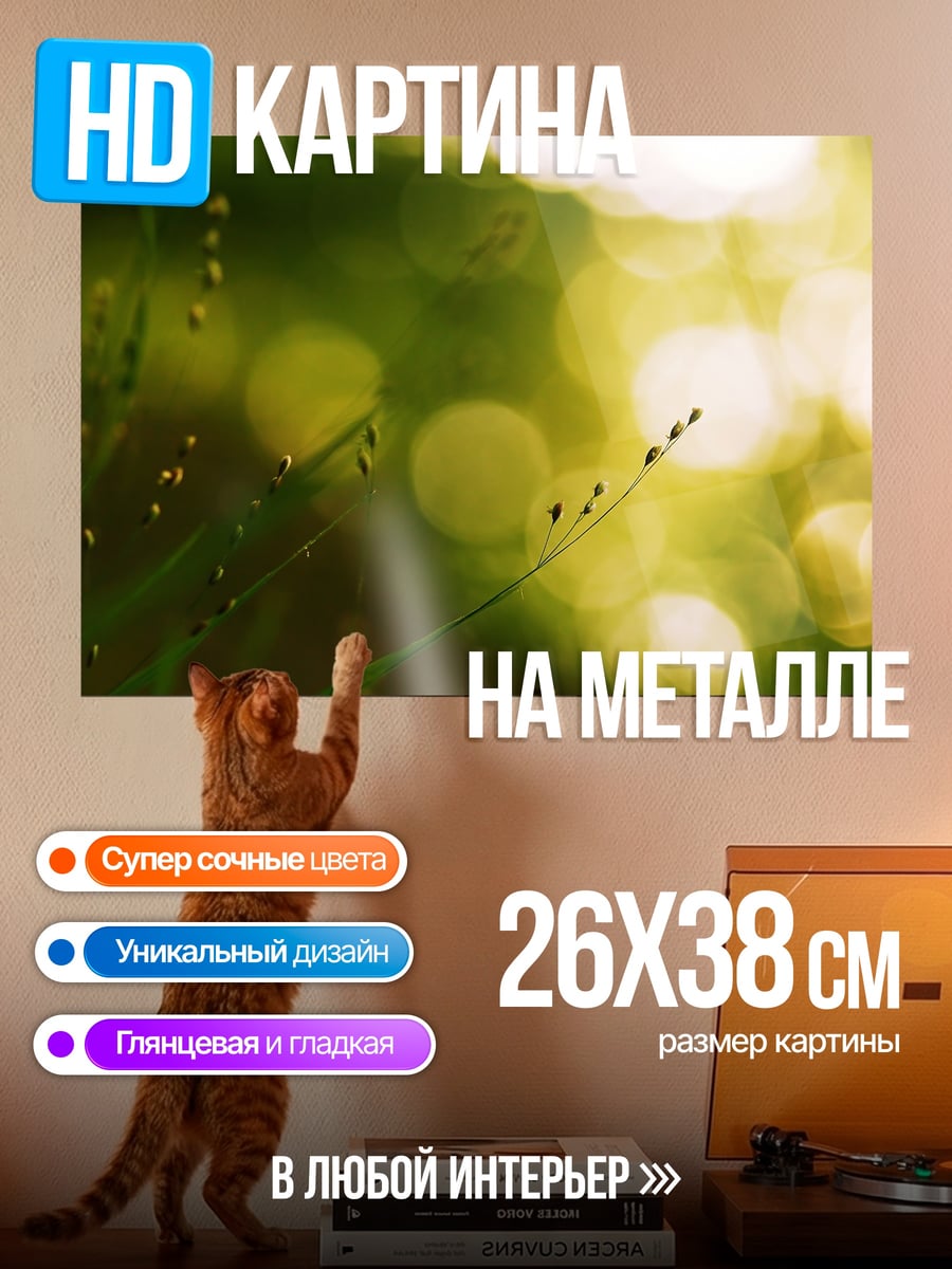 Картина на металле Зеленые блики травы