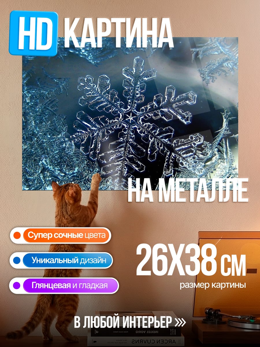 Картина на металле снежинка на морозе