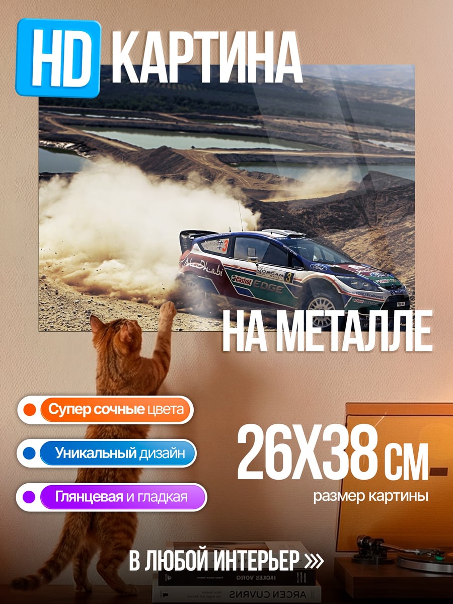 Картина на металле раллийная машина пыль