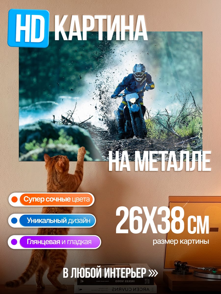 Картина на металле Мотоциклист грязь