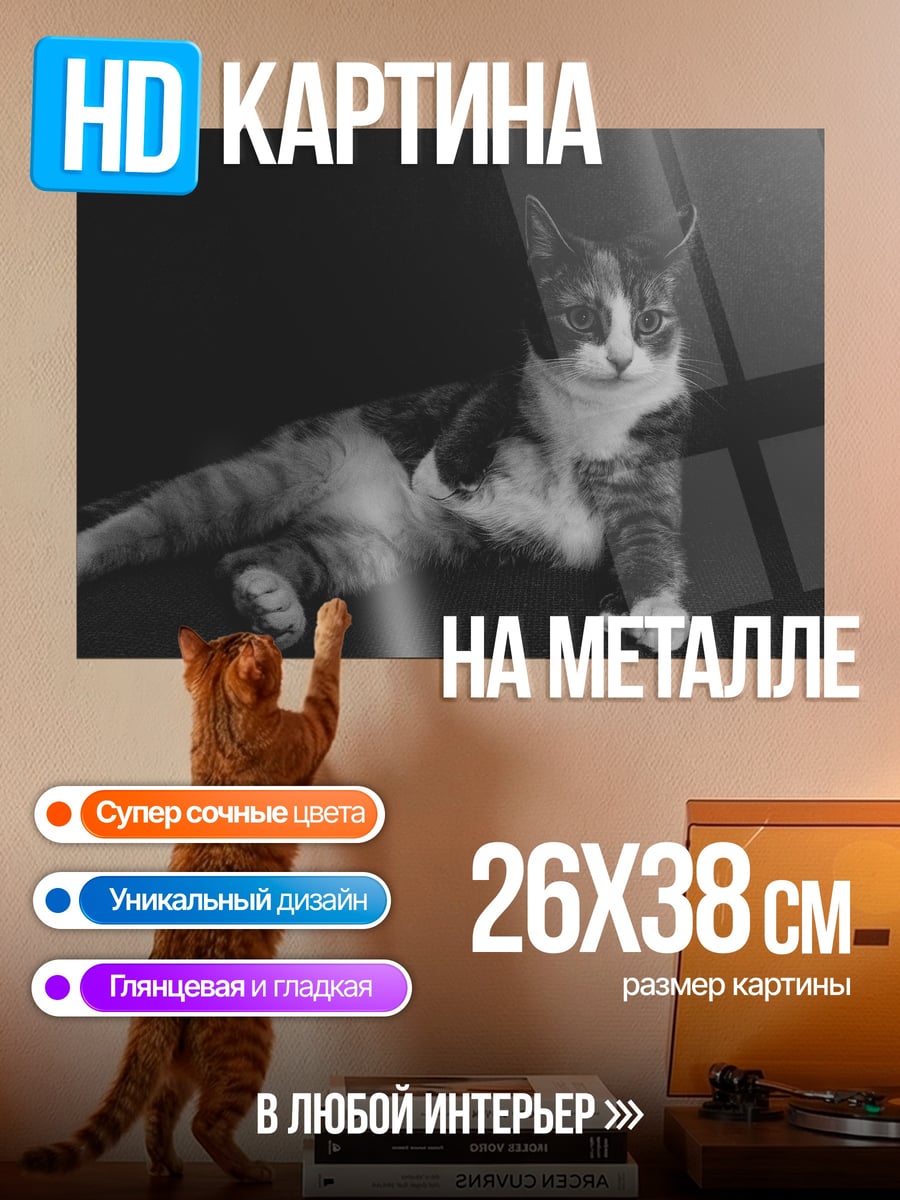 Картина на металле Лежащий кот