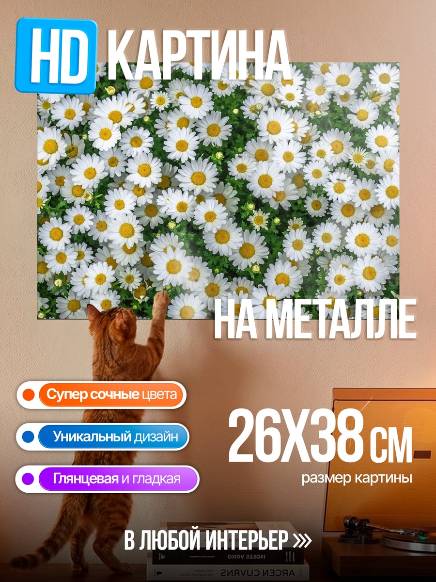 Картина на металле Поле ромашек