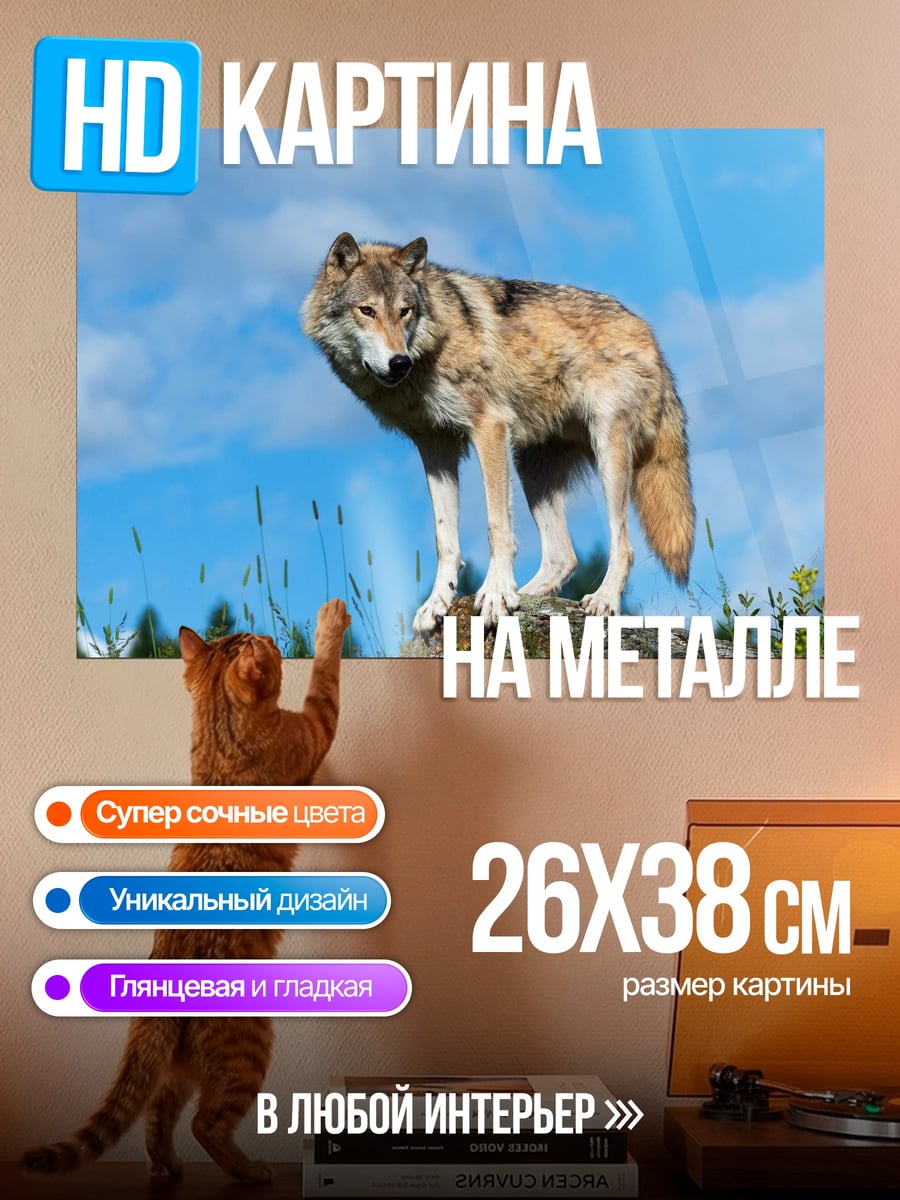 Картина на металле Волк на камне