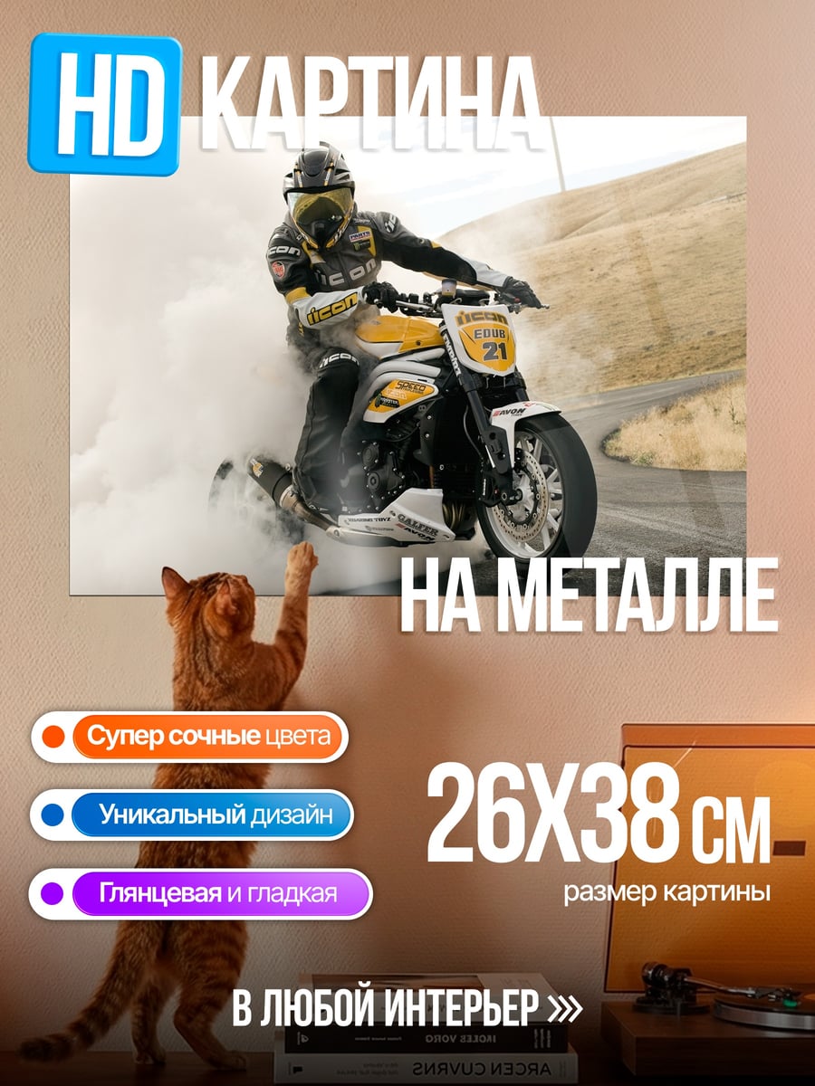 Картина на металле Дрифт на мотоцикле