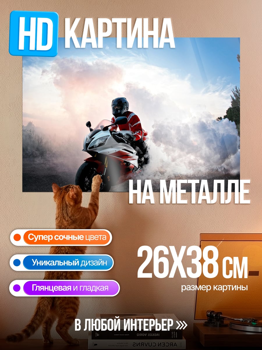 Картина на металле Мотоциклист в дыму