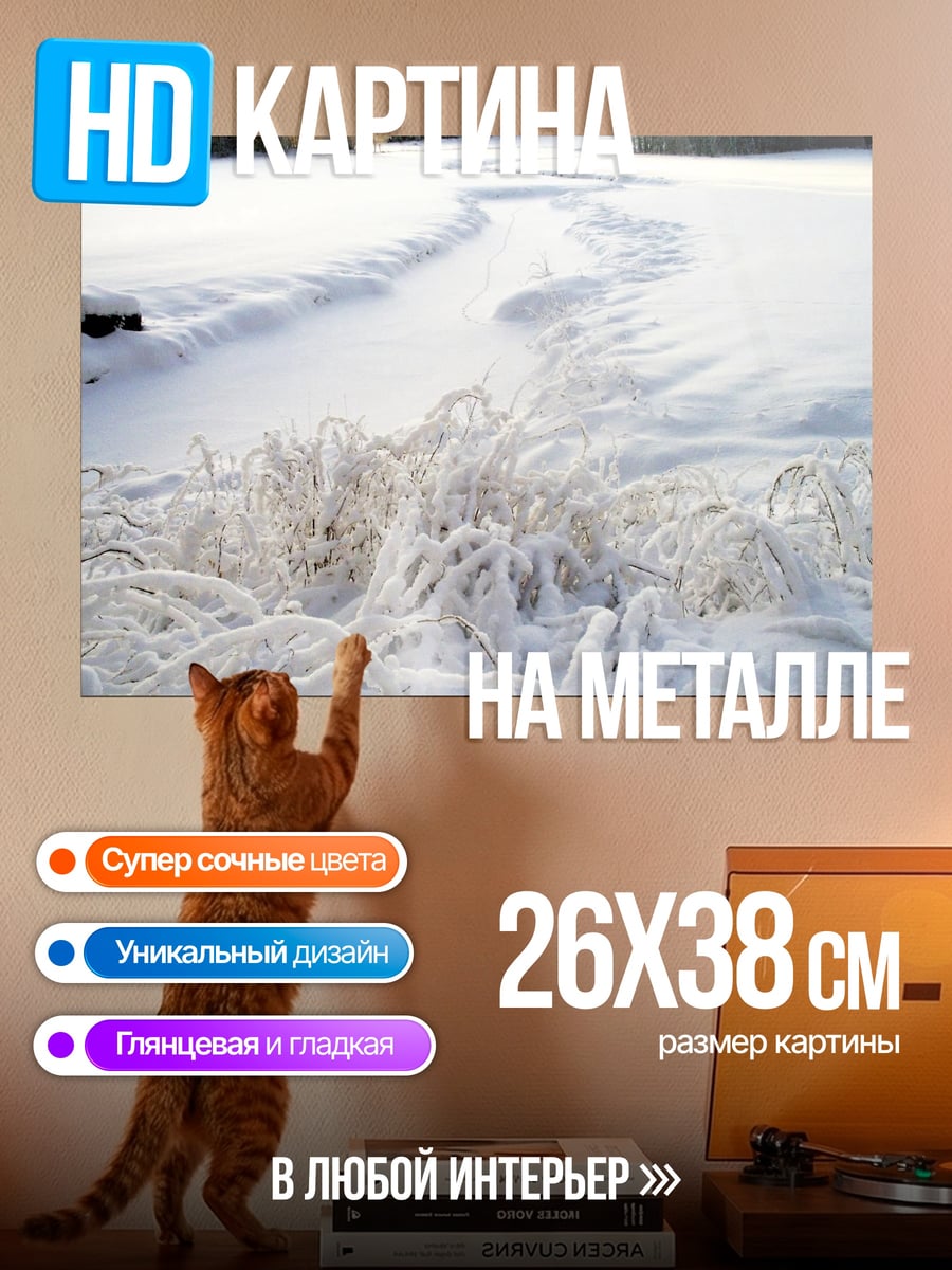 Картина на металле Зимний пейзаж с травой