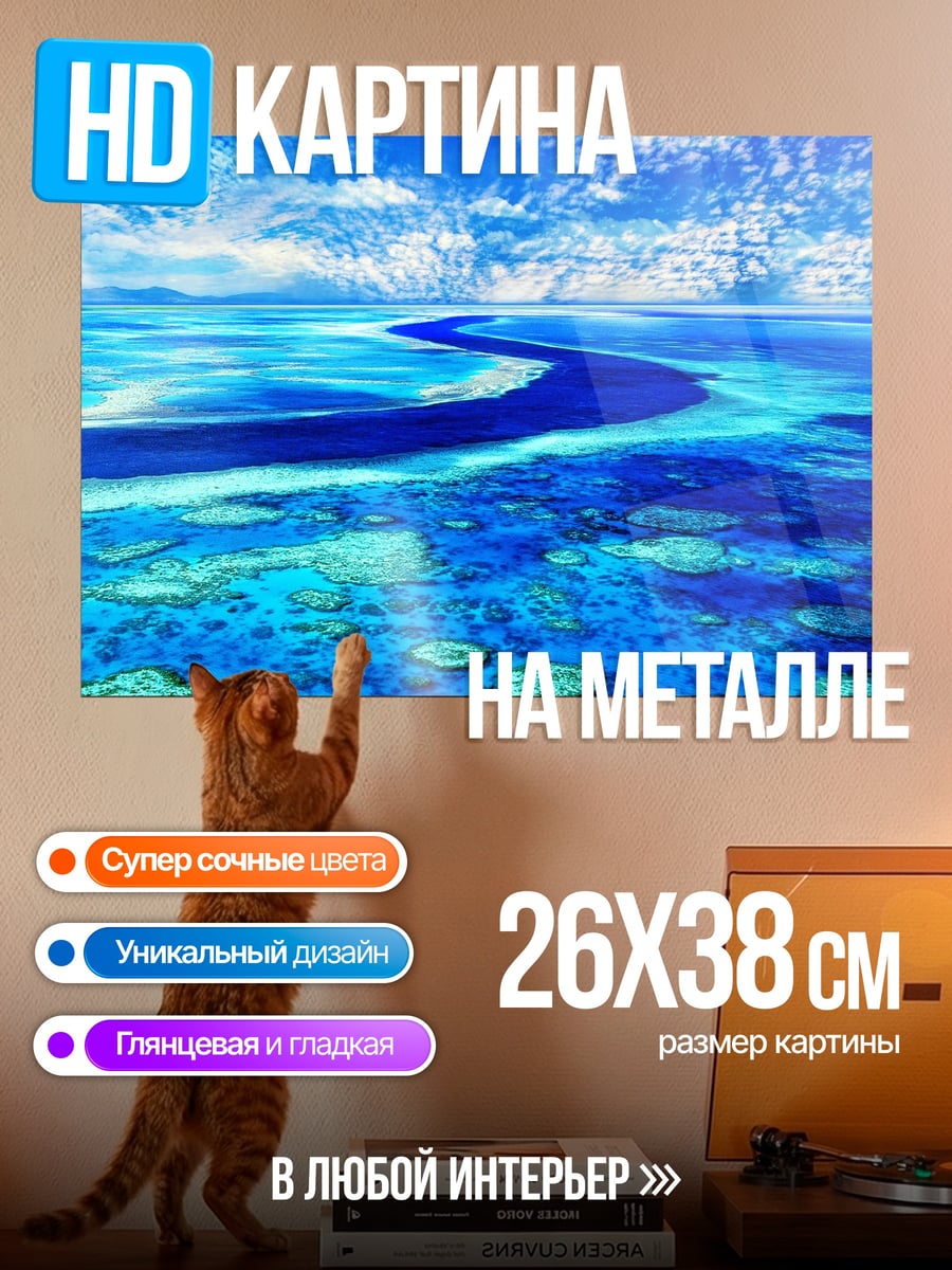Картина на металле Коралловый риф сверху