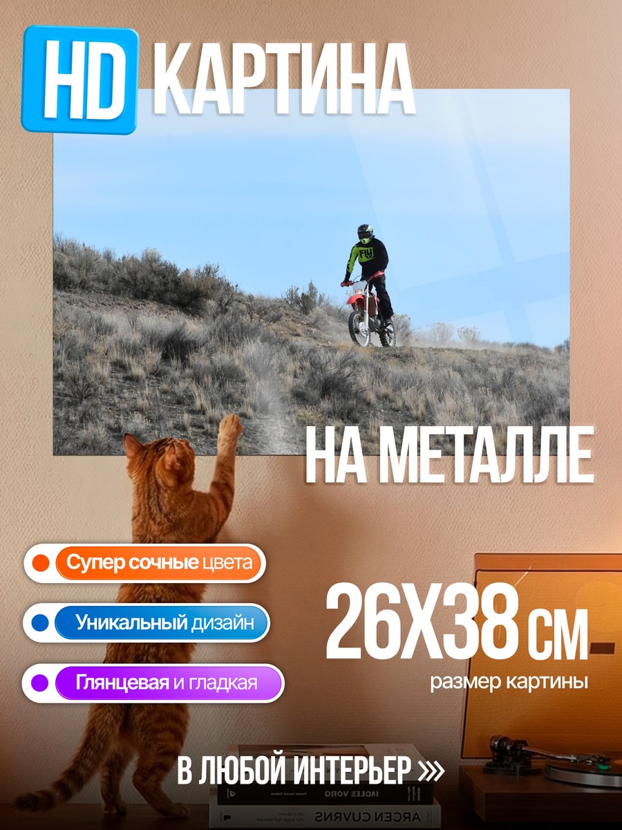 Картина на металле Велосипедист на холме