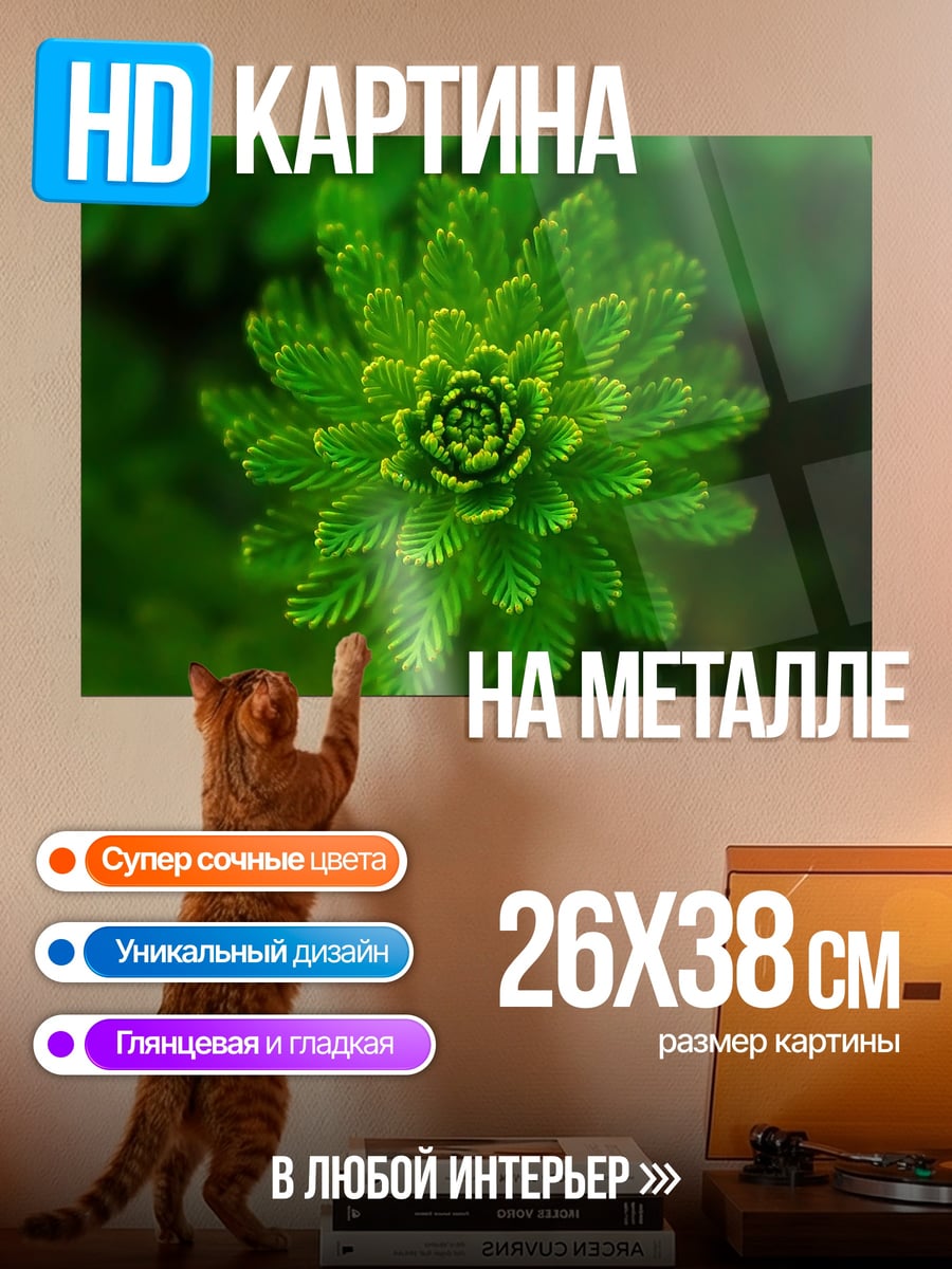 Картина на металле Зеленое растение крупным планом