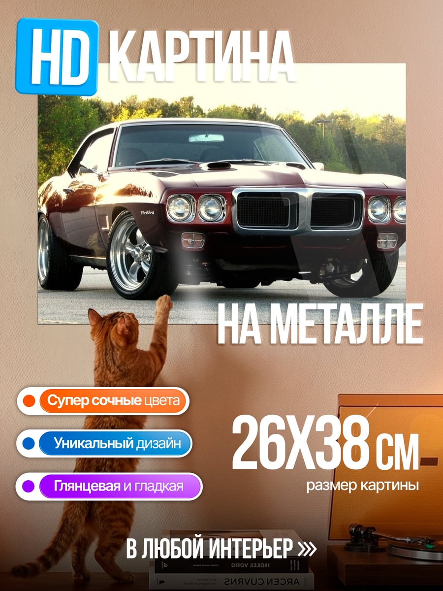 Картина на металле Классический маслкар