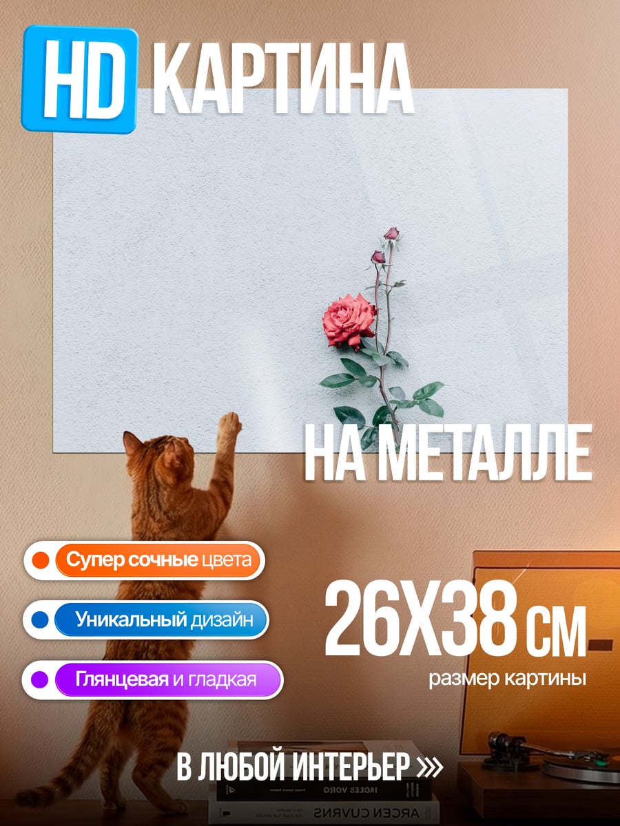 Картина на металле Одинокая роза