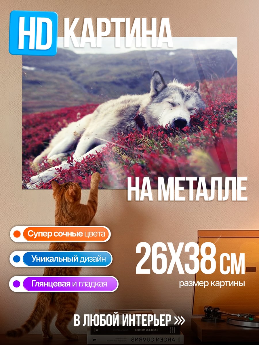 Картина на металле Волк в цветах