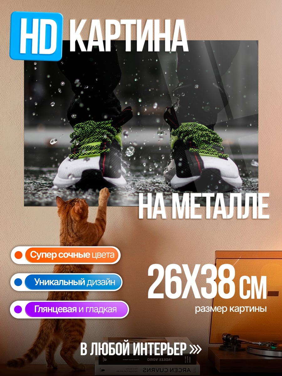 Картина на металле кроссовки в луже