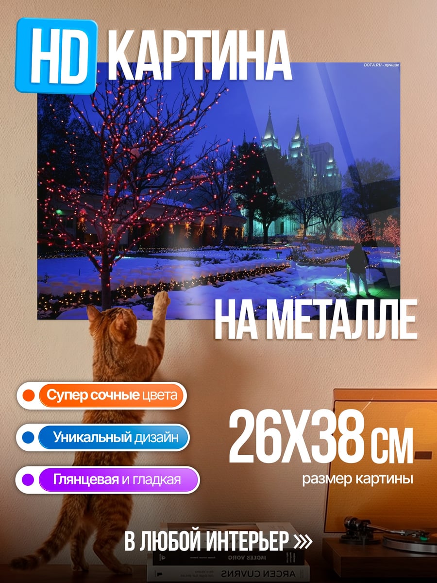 Картина на металле Зимний парк огней