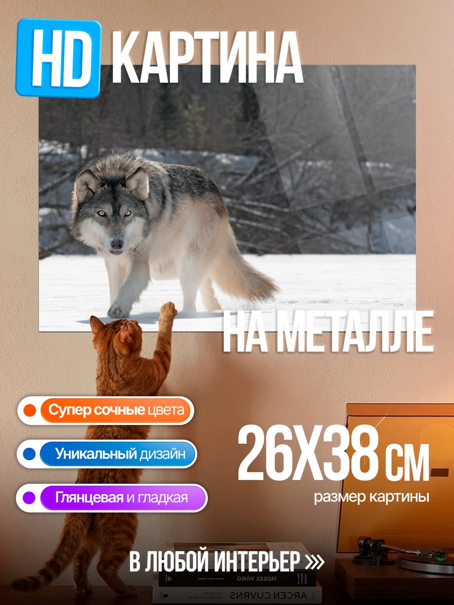 Картина на металле снежный волк