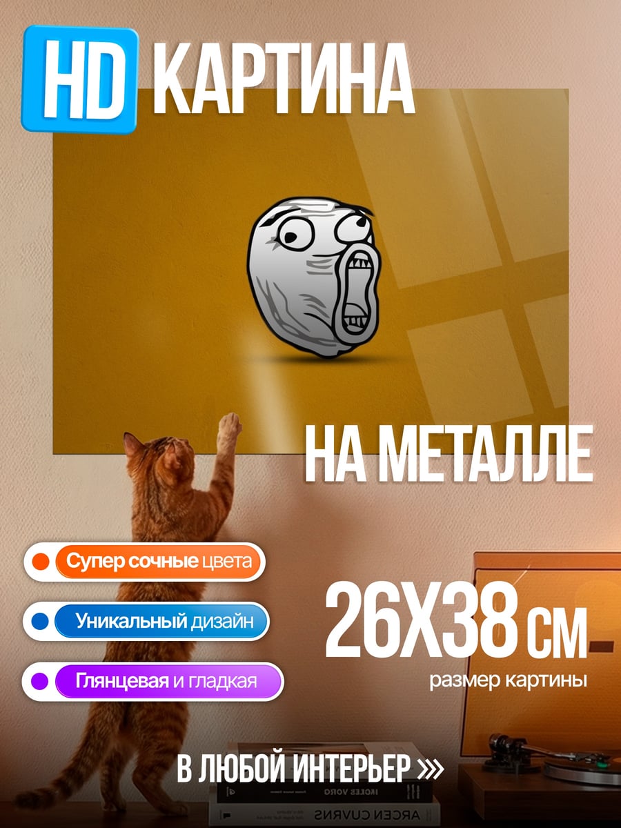 Картина на металле Мем лицо
