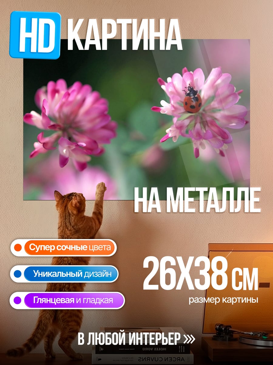Картина на металле Божья коровка на цветке