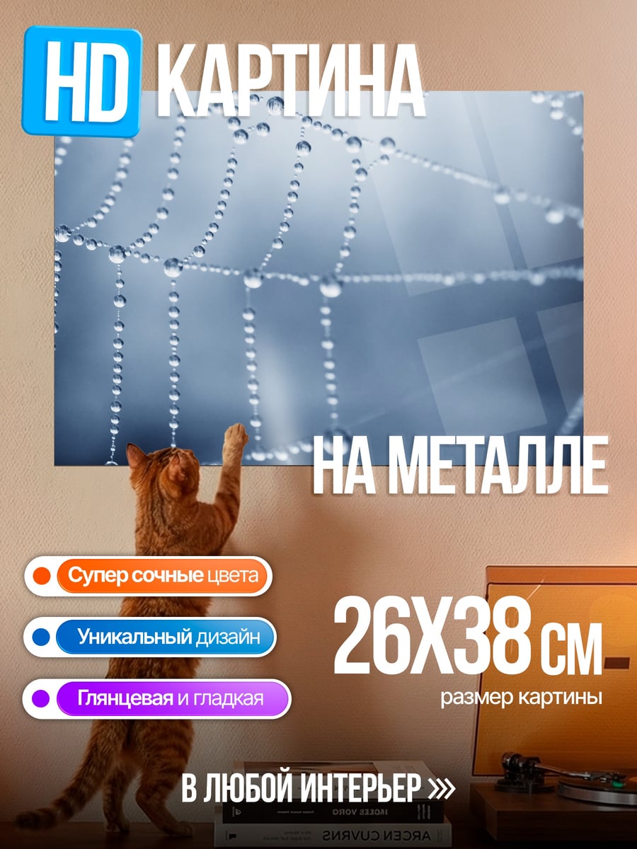 Картина на металле Паутина с каплями