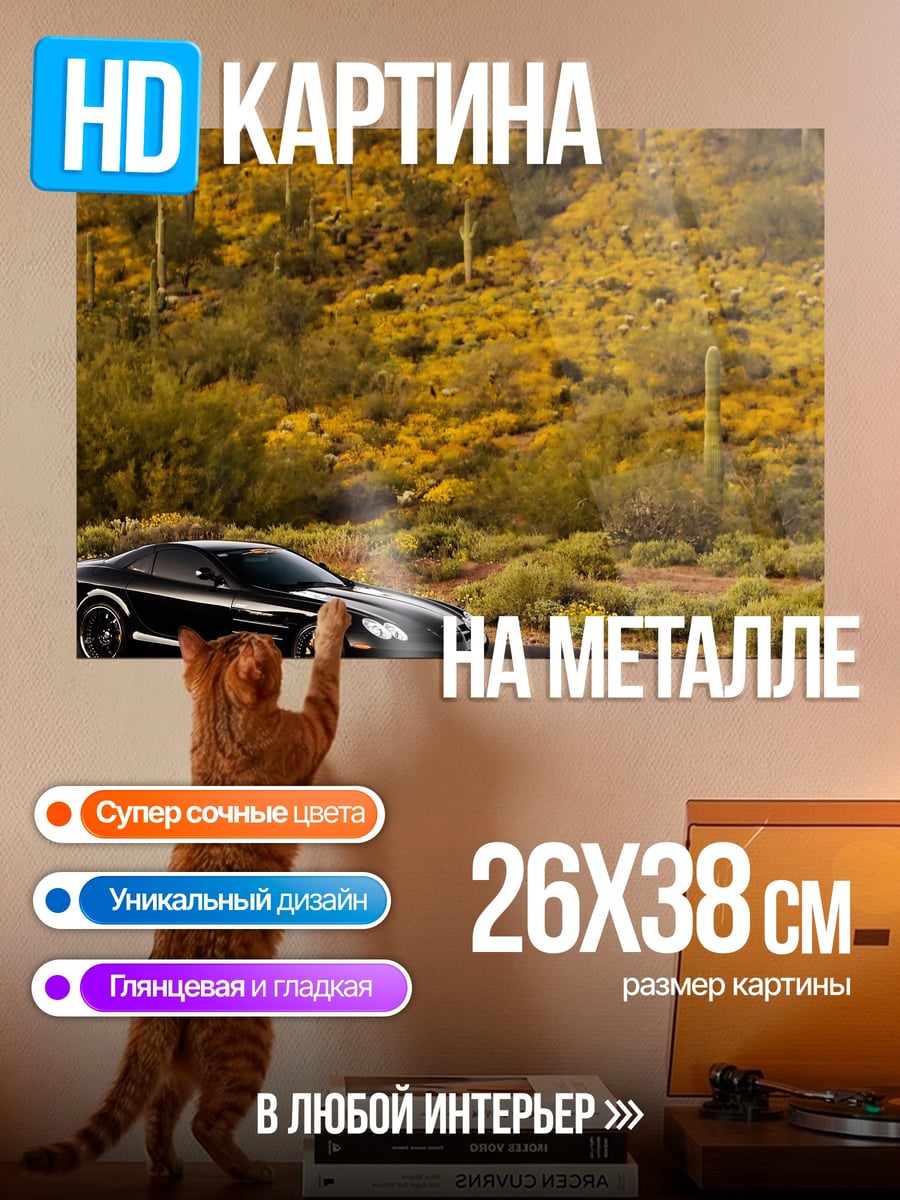 Картина на металле Черный спорткар в пустыне