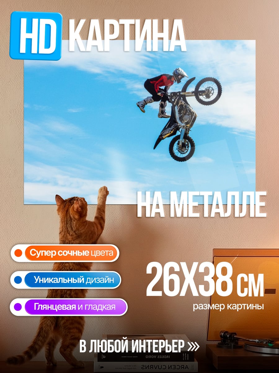 Картина на металле Мотофристайл в небе