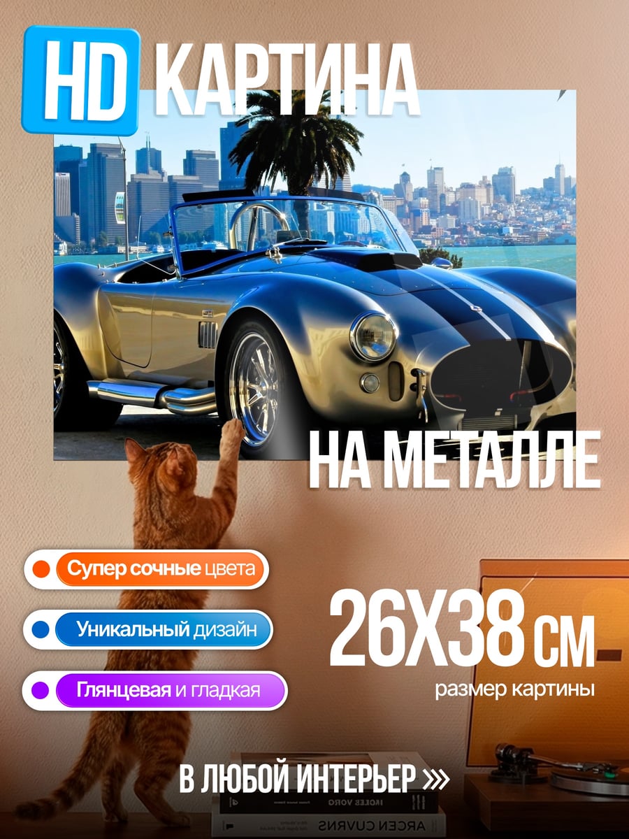 Картина на металле Серебристый спорткар
