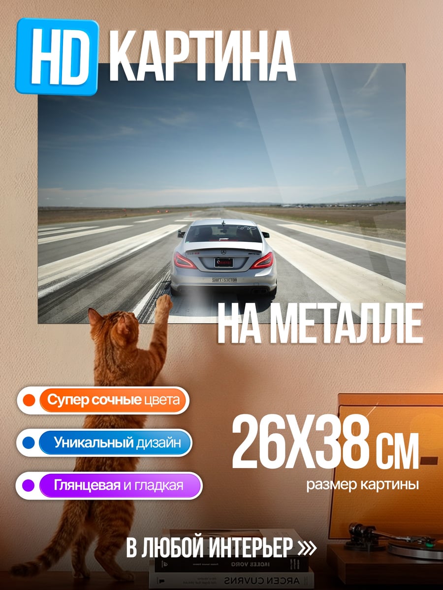 Картина на металле Скорость по трассе