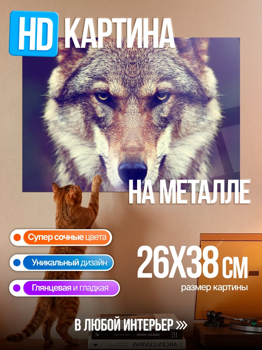 Картина на металле Лицо волка