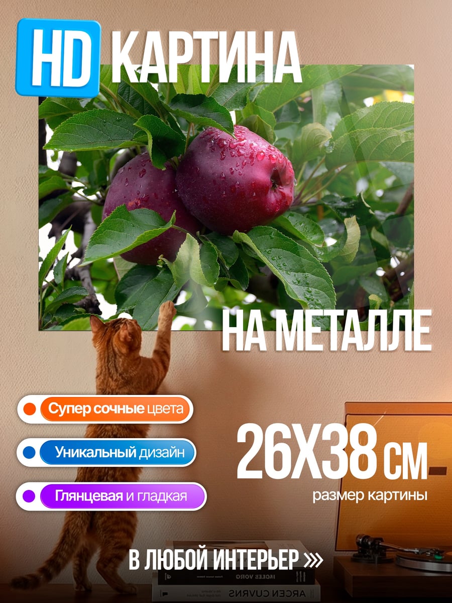 Картина на металле Красные яблоки ветка