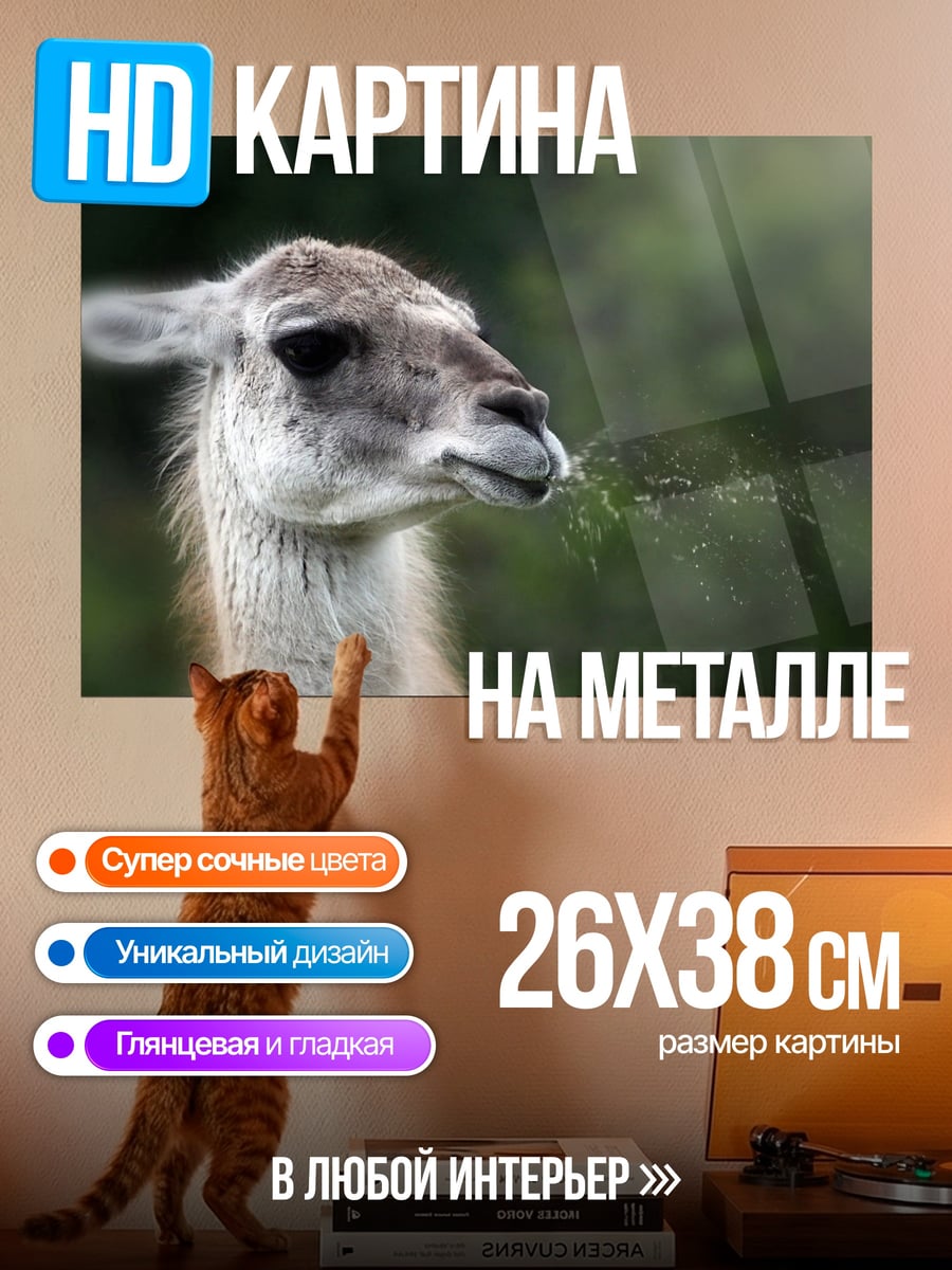Картина на металле Гуанако жует траву