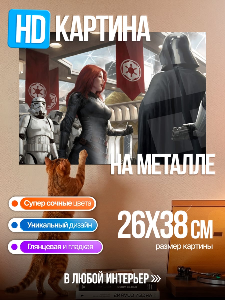 Картина на металле Дарт Вейдер и Империя